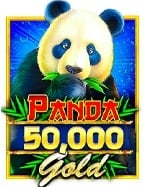 รีวิวเกม ไพ่ พนัน ที่ควรลองเล่นจาก CQ9